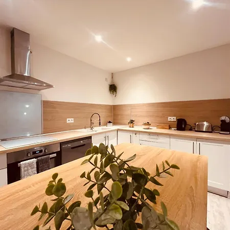 Le Felicite Spacieux Avec Parking Apartment